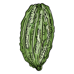 Kakaobaumfruchtillustration PNG-Design