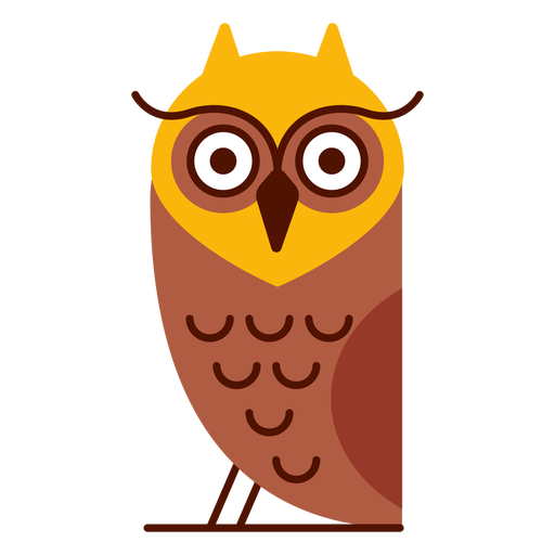 Owl bird illustration