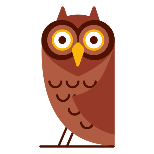 Surprised owl illustration PNG Design