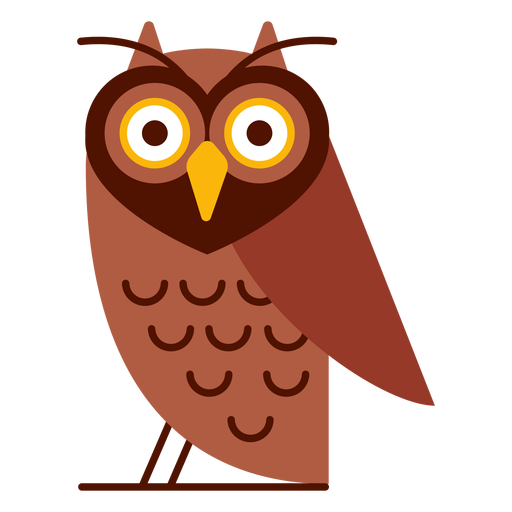 Wise owl illustration PNG Design