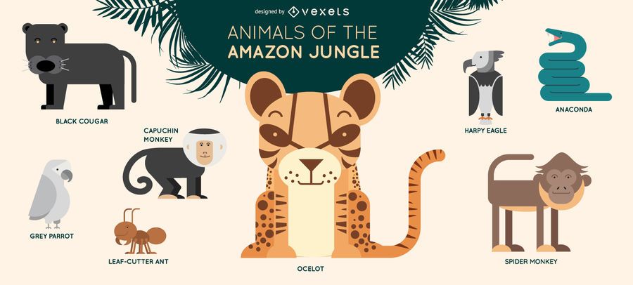 Amazon jungle animals illustration set Amazon jungle animals illustration set