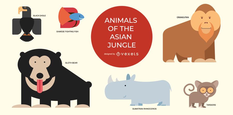 Conjunto de animales de la selva asiática Conjunto de animales de la selva asiática