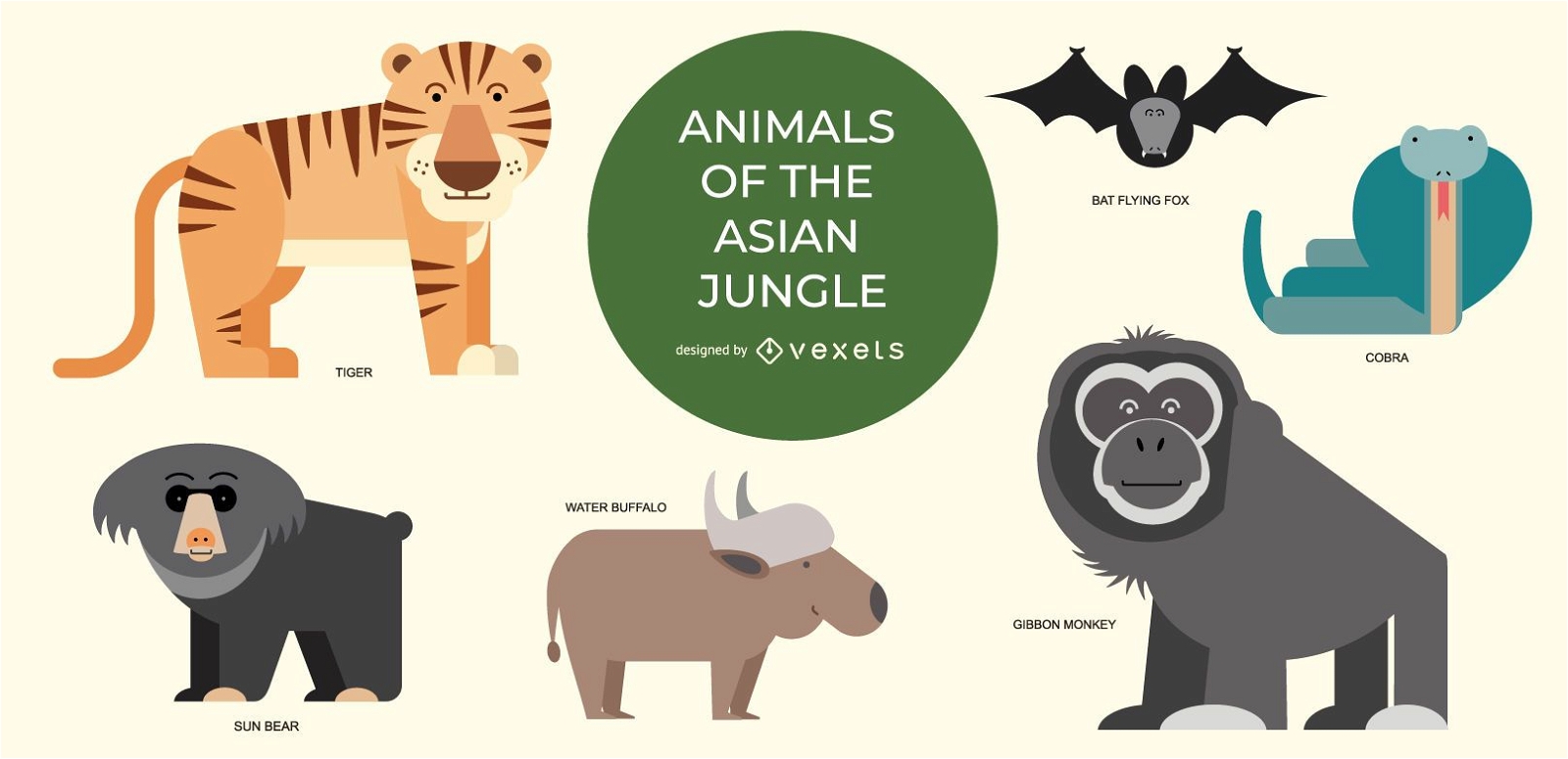 Asian jungle animals illustration set