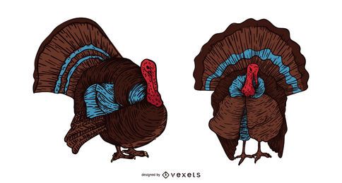Turkey bird hand drawn illustration Turkey bird hand drawn illustration