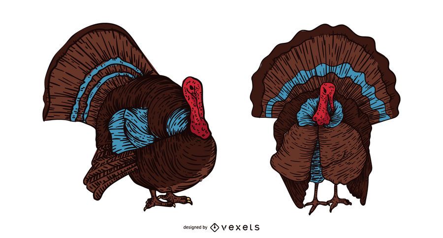 Turquía pájaro dibujado a mano ilustración Turquía pájaro dibujado a mano ilustración