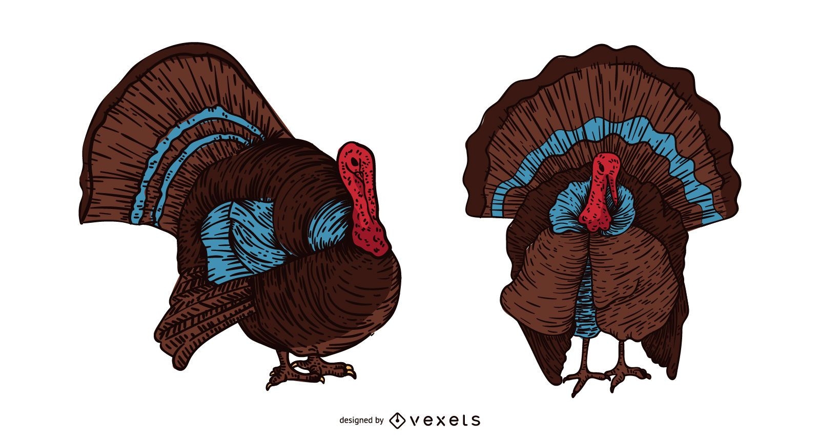 Turkey bird hand drawn illustration