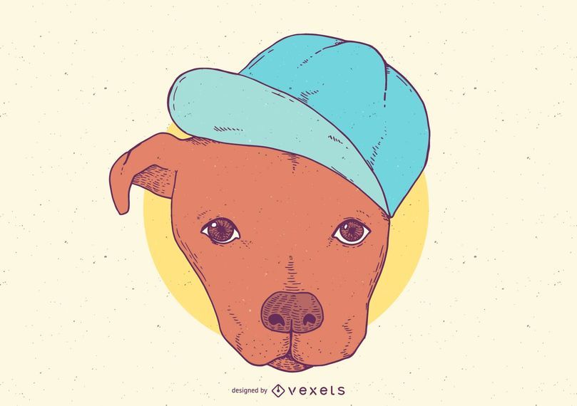 Pit Bull With Hat Cartoon Pit Bull With Hat Cartoon