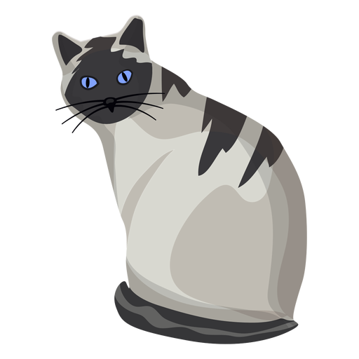 American shorthair cat illustration PNG Design