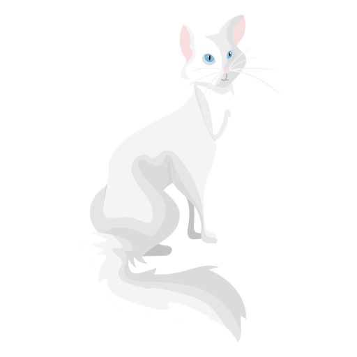Angora cat illustration PNG Design