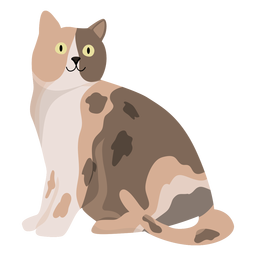 Cat animal illustration PNG Design