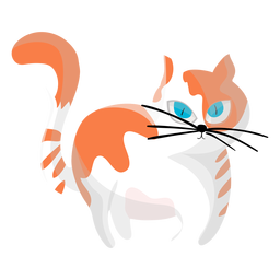 Cat pet illustration PNG Design