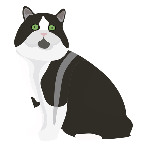 Cymric cat illustration PNG Design