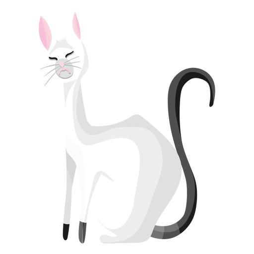 Disgusted cat illustration PNG Design