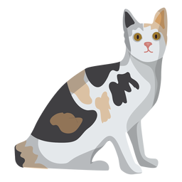 Ilustración de gato europeo de pelo corto Transparent PNG