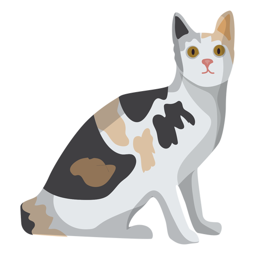 European shorthair cat illustration - Transparent PNG & SVG vector file