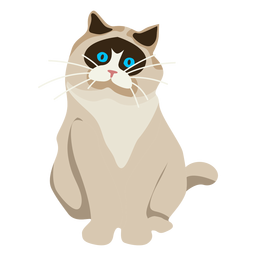 Exotische Kurzhaarkatzenillustration PNG-Design