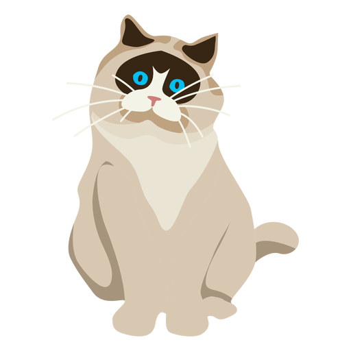 Exotic Shorthair Cat Illustration Transparent Png Svg Vector File