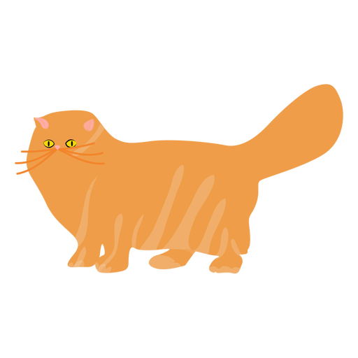 Pet Cat Illustration Transparent Png Svg Vector File