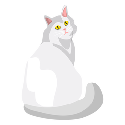 Ilustración de gato Ragdoll Diseño PNG