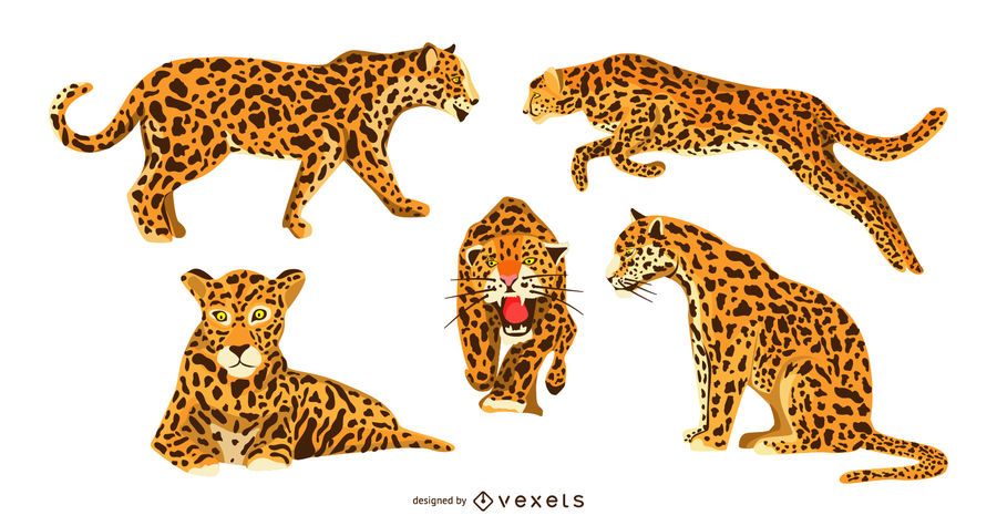 Jaguar Graphic Design Set Jaguar Graphic Design Set