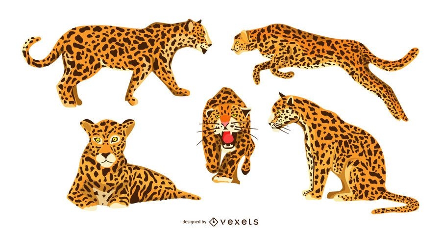 Jaguar Graphic Design Set - Vector Download