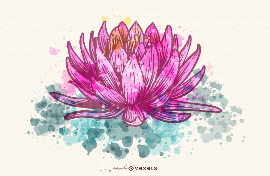 Lotus-Aquarellmalerei Lotus-Aquarellmalerei