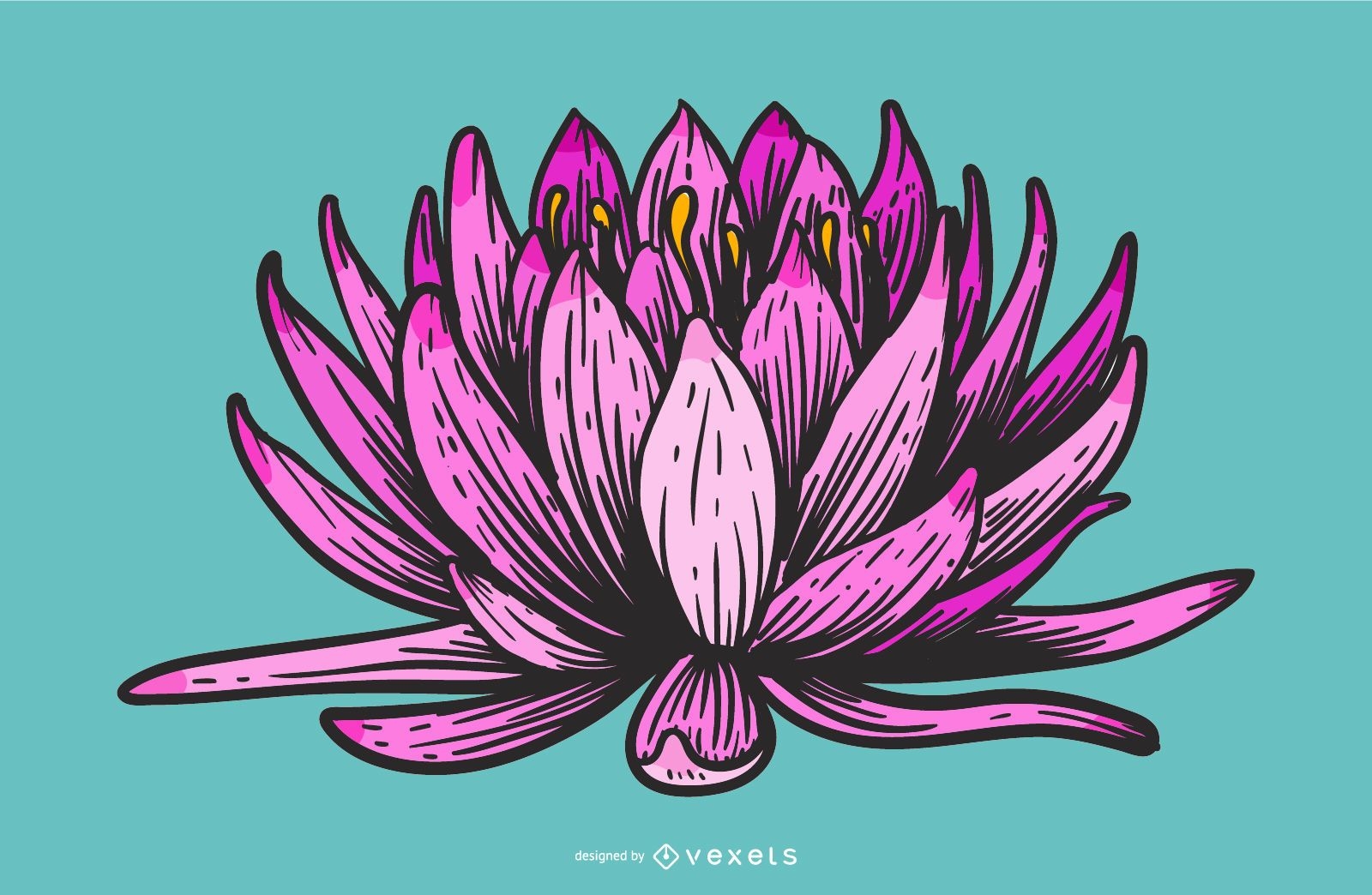 Lotusblumen-Karikaturentwurf