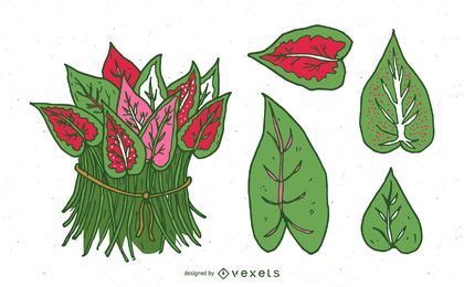 Caladium Leaves Set