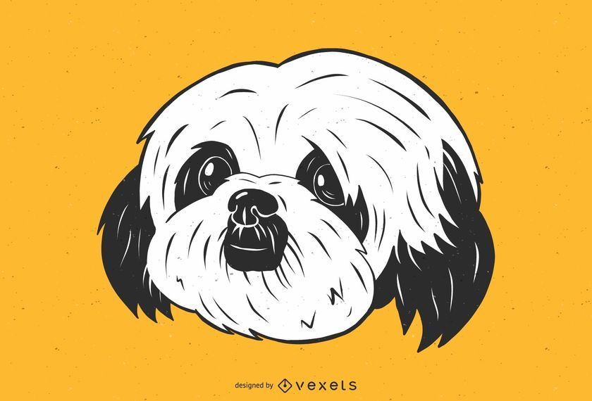 Cute Shih Tzu Dog Illustration Cute Shih Tzu Dog Illustration