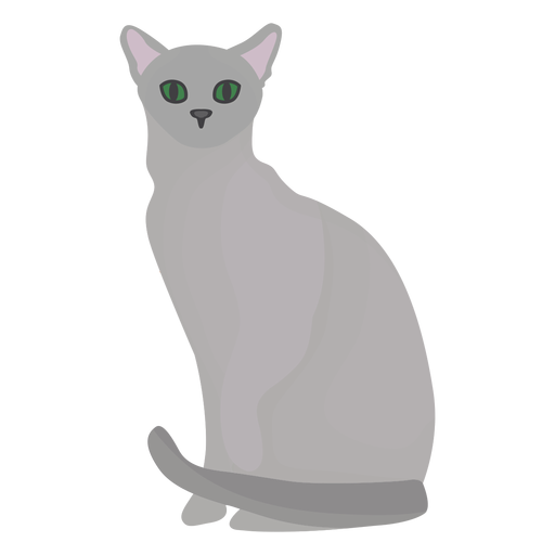 Russian blue cat illustration - Transparent PNG & SVG vector file