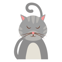 Avatar de gato sonolento Avatar de gato sonolento