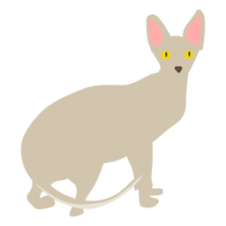 Sphynx cat illustration PNG Design