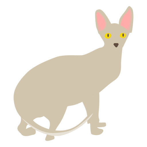 Ilustración de gato Sphynx Diseño PNG