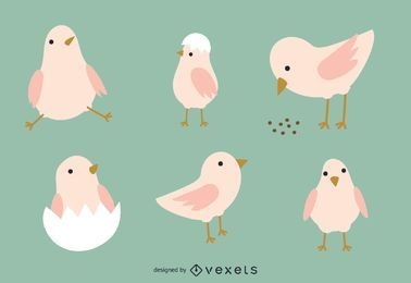 Conjunto de animais de pássaros bonitos