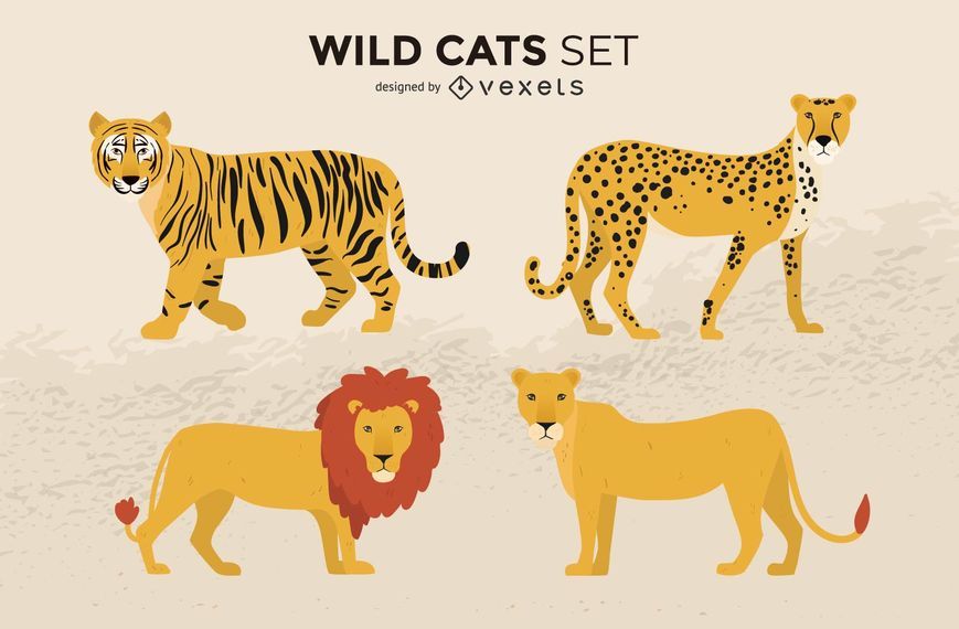 Wildkatzen-Illustrations-Satz Wildkatzen-Illustrations-Satz