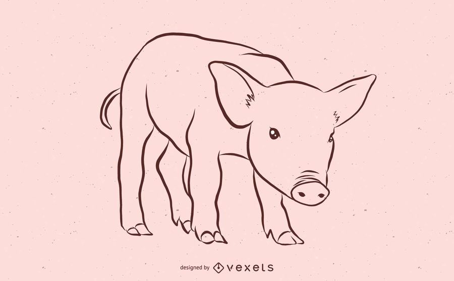 Diseño de boceto de cerdo Diseño de boceto de cerdo