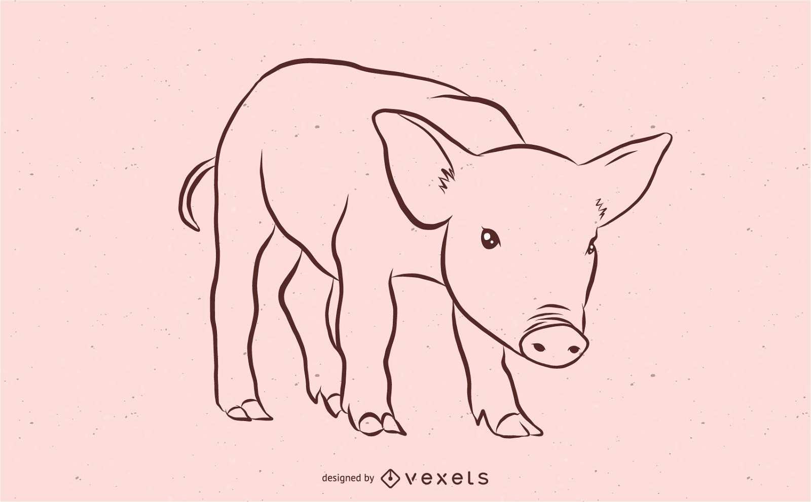 Pig Sketch Design