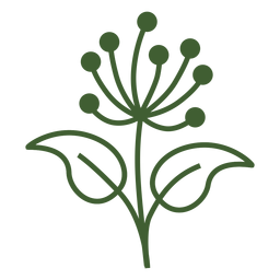 Dandelion flower icon PNG Design Transparent PNG