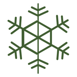 Detailed snowflake icon Detailed snowflake icon