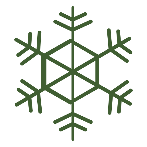 Detailed snowflake icon