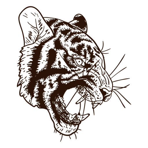 Dibujado a mano tigre feroz