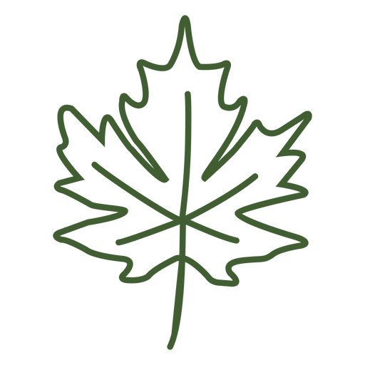 Flat maple leaf icon