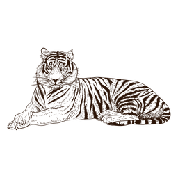 Mão desenhada relaxante ilustração de tigre Mão desenhada relaxante ilustração de tigre