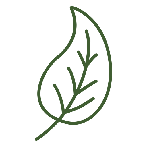 Leaf with stem icon PNG Design