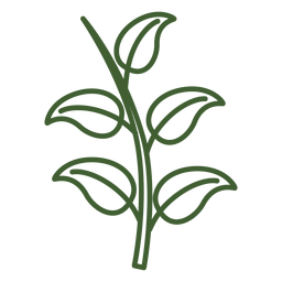 Folhas em um ícone de galho