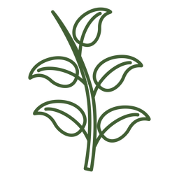 Hojas en un icono de rama Diseño PNG
