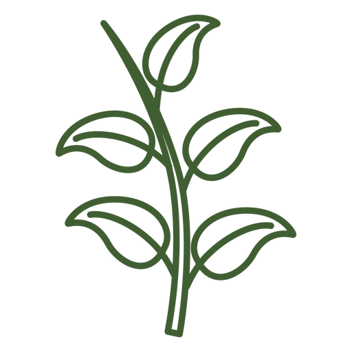 Featured image of post Ramo De Folha Png Branch leaf tree folha png clipart