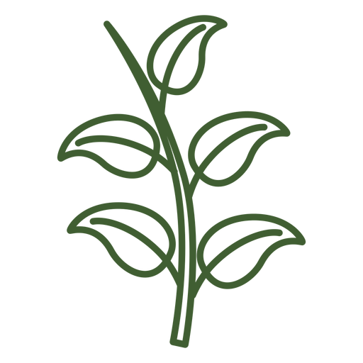 Leaves on a branch icon PNG Design