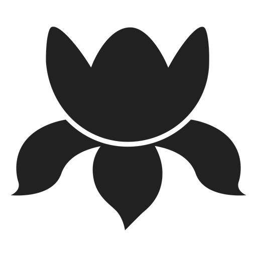 Lily flower vector PNG Design