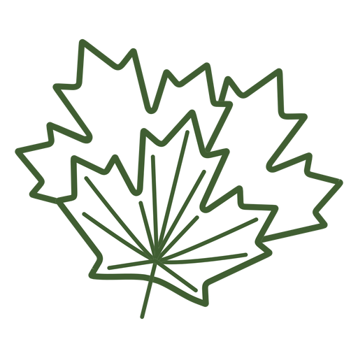Maple Tree Leaf ícone - Baixar PNG/SVG Transparente